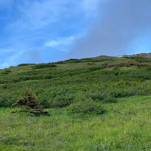 Meet your Posher, Mohamed